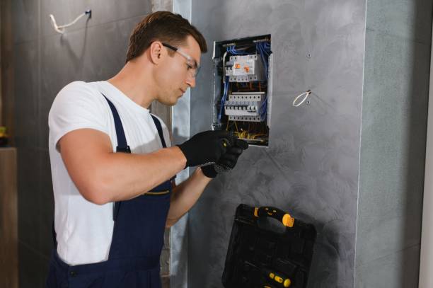 Best Electrical Repair Services  in Hastings, MN